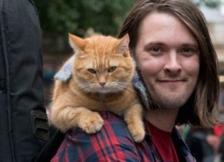 Libri da leggere: A spasso con Bob di James Bowen bob