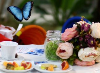 Un tè con le farfalle senza farfalle. A Roma Un tè con le farfalle