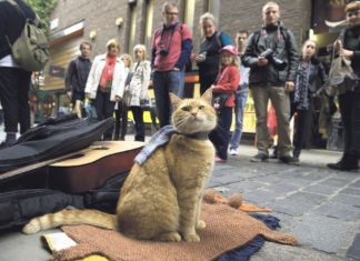 La Festa della Musica di Roma
