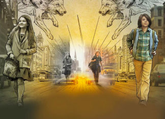 la stanza delle meraviglie