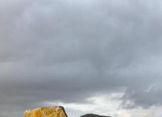 tribù scozzesi dei pitti