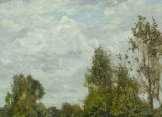 I ciardi. paesaggi e giardini