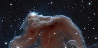 Horsehead-nebula