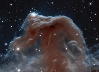Horsehead-nebula