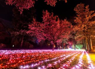 orto botanico natale