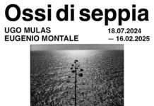 Ossi di seppia