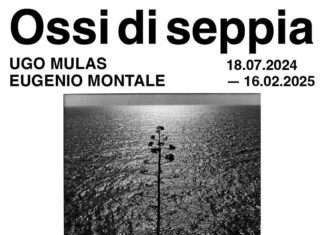 Ossi di seppia